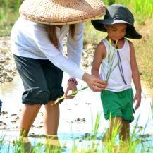 4 tour guide and child planting rice